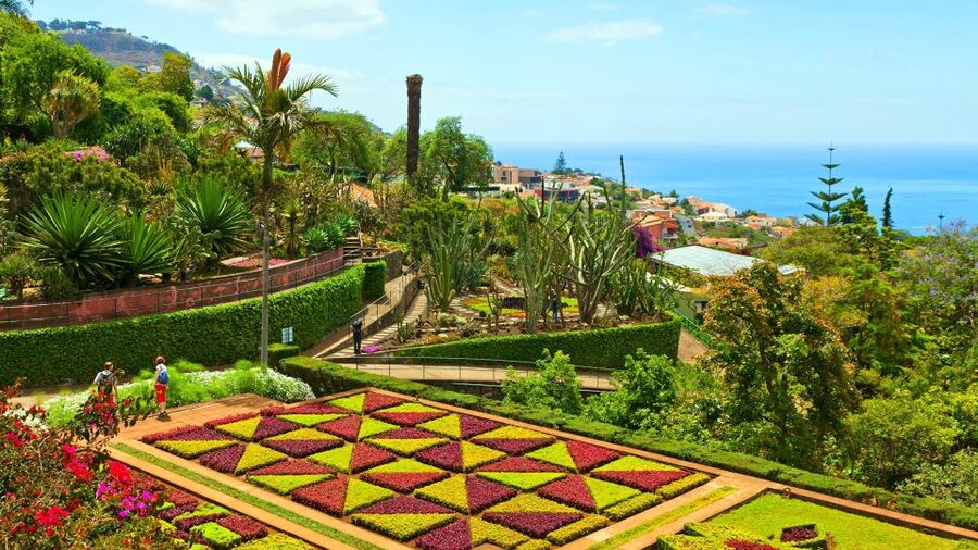 Funchal: Madeira Botanical Garden Tuk-Tuk Tour + Old Town - The Natural History Museum Adds Context