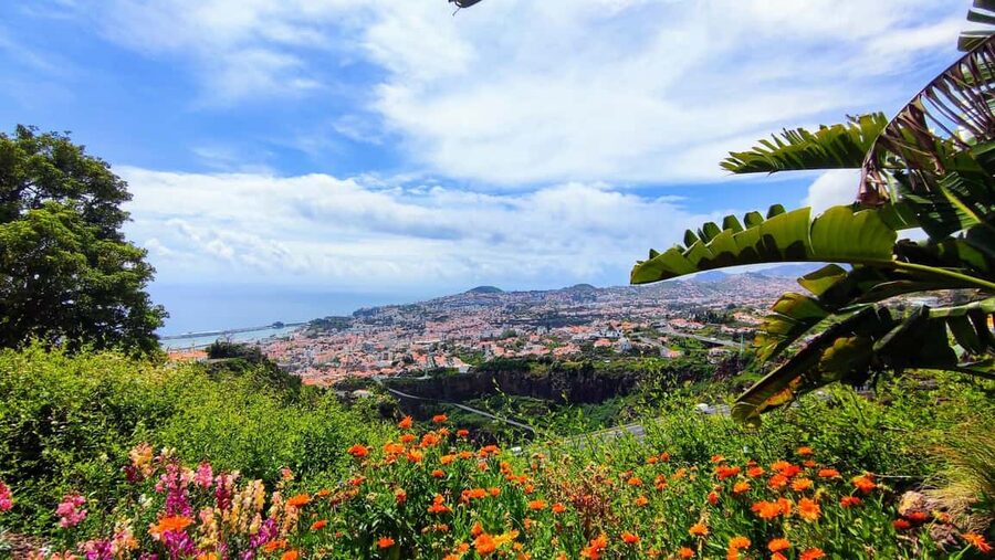 Funchal: Madeira Botanical Garden Tuk-Tuk Tour + Old Town - Farmers’ Market and Zona Velha From the Tuk-Tuk