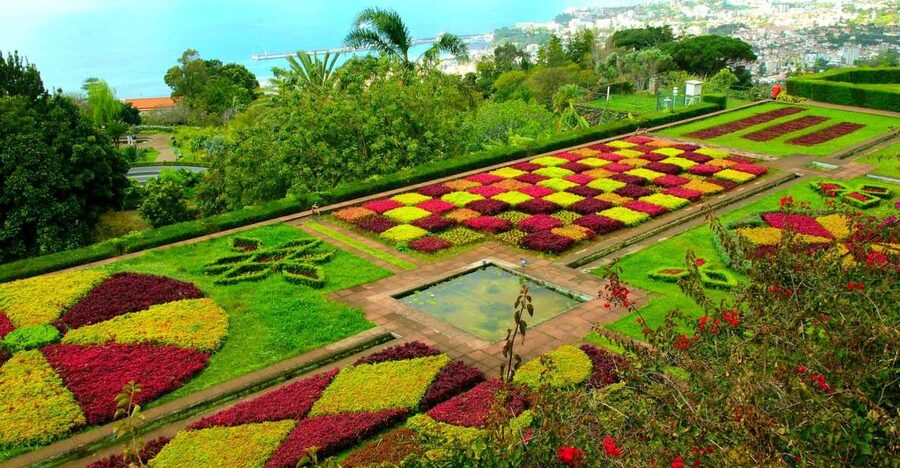 Funchal: Madeira Botanical Garden Tuk-Tuk Tour + Old Town - Should You Book the Funchal Tuk-Tuk Garden Tour?