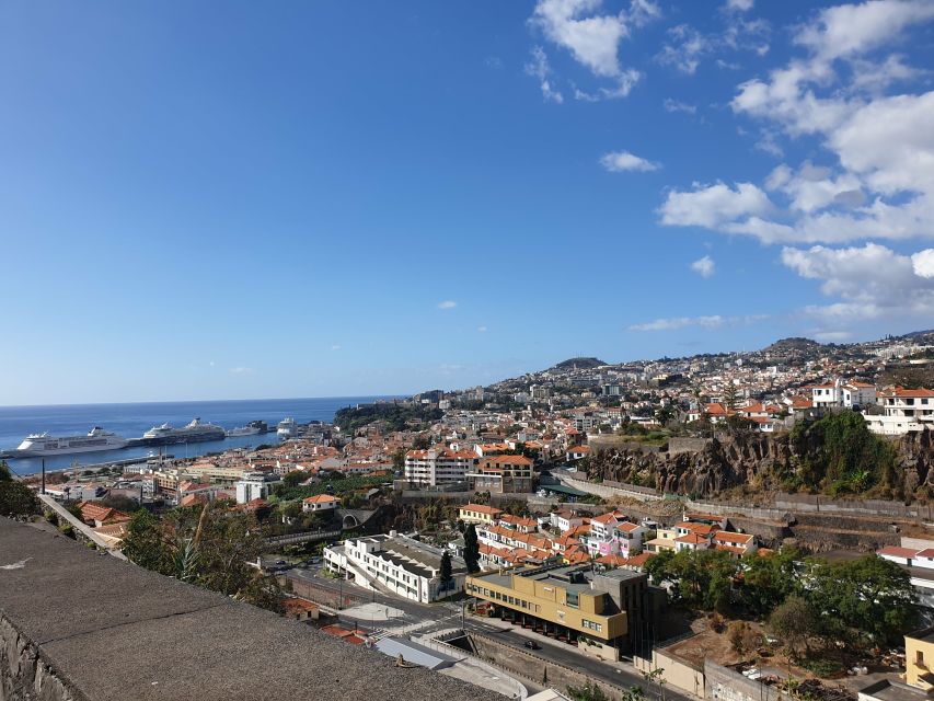 Funchal: Madeira Botanical Garden Tuk-Tuk Tour + Old Town - Madeira Botanical Garden: One Hour Among 2,500 Species