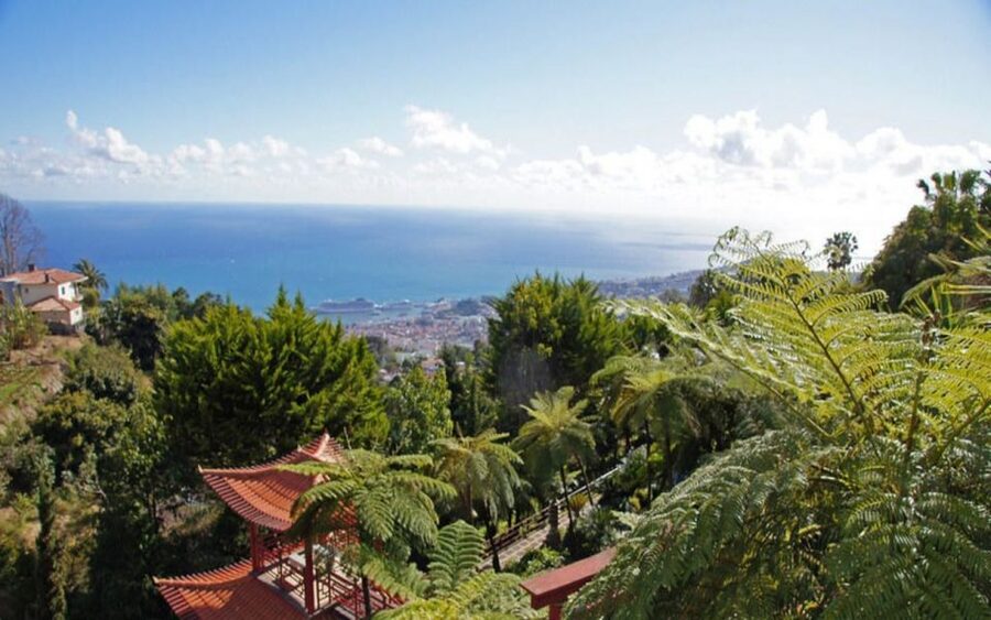 Funchal: Monte Palace Tropical Gardens Tuk Tuk Tour - Monte church and the famous sledges