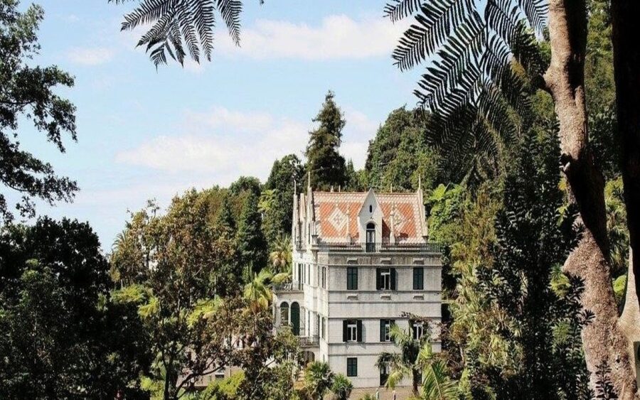 Funchal: Monte Palace Tropical Gardens Tuk Tuk Tour - Funchal viewpoints and the way to Monte