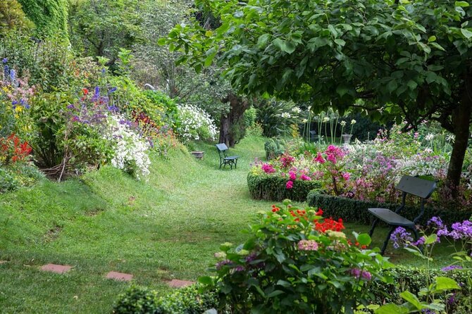Funchal Old Town & Palheiro Gardens Private Tuk Tuk Tour - Starting among Funchal’s old streets