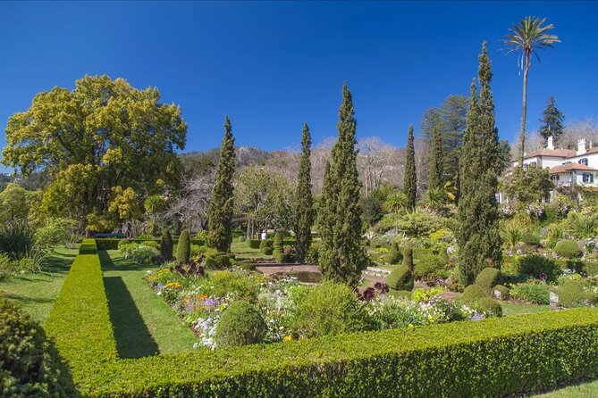 Funchal Old Town & Palheiro Gardens Private Tuk Tuk Tour - Palheiro Gardens at 500 meters