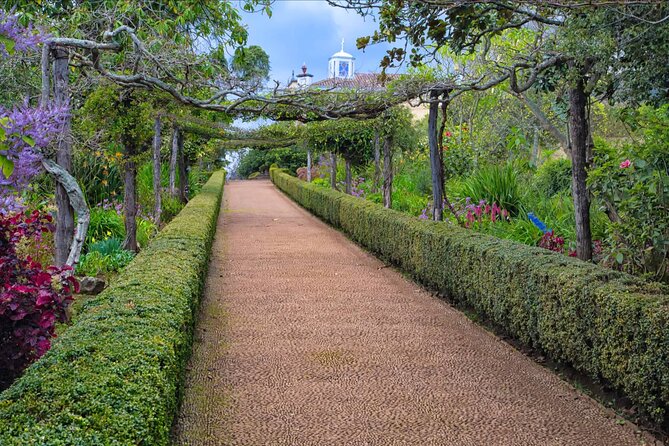 Funchal Old Town & Palheiro Gardens Private Tuk Tuk Tour - Who should book this Funchal outing?