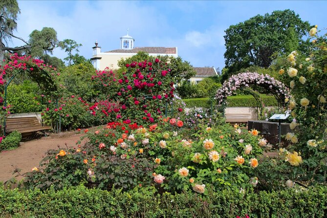 Funchal Old Town & Palheiro Gardens Private Tuk Tuk Tour - The 30-minute climb to Palheiro Gardens
