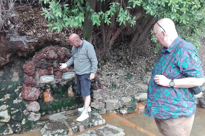 Furnas Lake Hotsprings and Gardens Van Tour - The tea plantation and factory visit