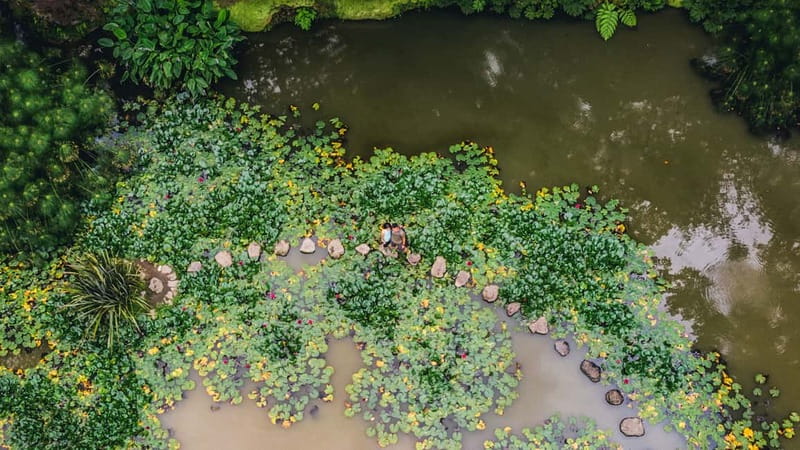 Furnas & Terra Nostra Gardens Biologist-guided e-Tour +lunch - Why this Furnas day trip works so well