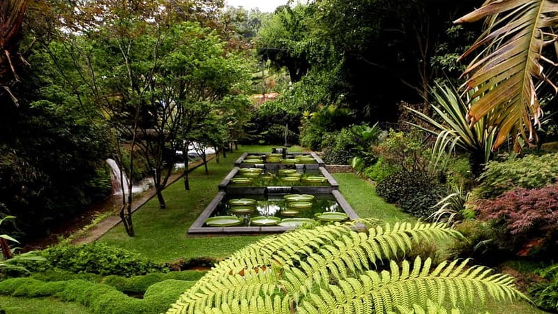 Furnas & Terra Nostra Gardens Biologist-guided e-Tour +lunch - Three hours inside Terra Nostra Gardens