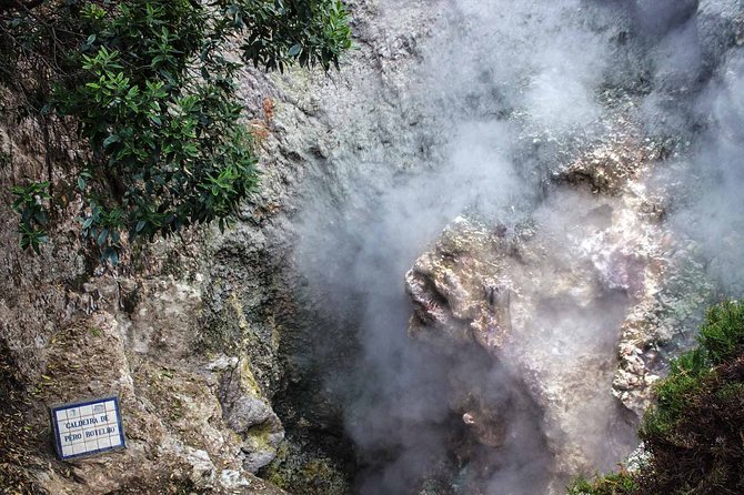 Furnas & Terra Nostra Park: Biologist-guided Botanic Tour +lunch - Cozido lunch cooked by volcanic steam