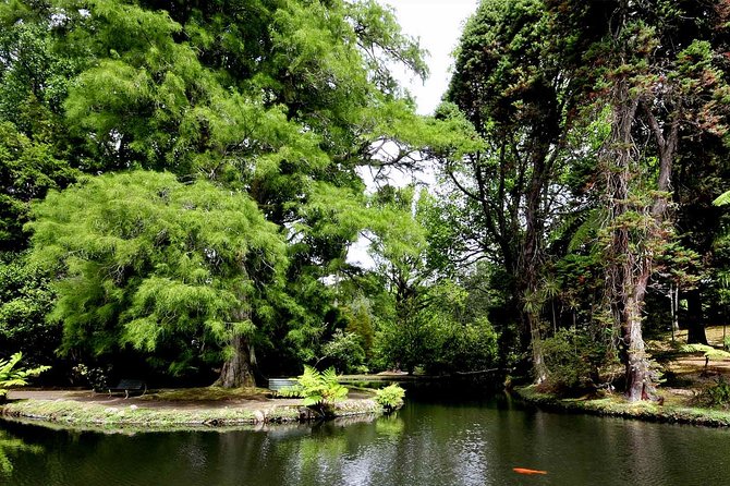 Furnas & Terra Nostra Park: Biologist-guided Botanic Tour +lunch - The Terra Nostra thermal pool