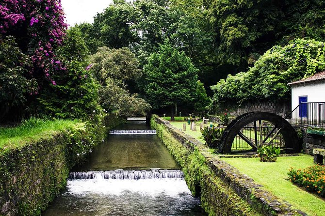 Furnas & Terra Nostra Park: Biologist-guided Botanic Tour +lunch - Guide quality and the small-group difference