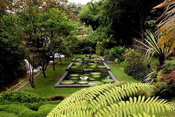 Furnas & Terra Nostra Park: Biologist-guided Botanic Tour +lunch - Is $103.33 a fair price?