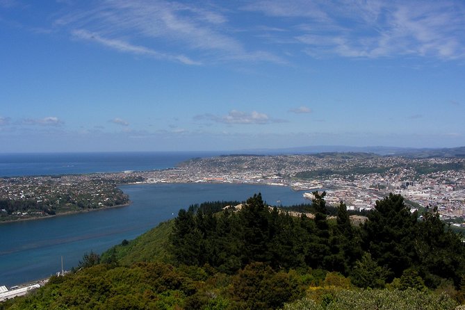Garden and City tour - The Octagon: Dunedin’s civic heart