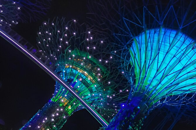 Garden by the Bay Singapore combo - Cloud Forest and the 35-meter waterfall