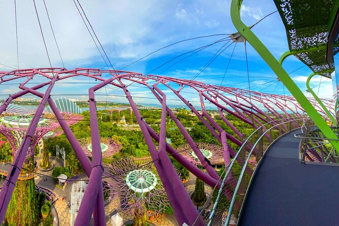 Garden by the Bay Singapore combo - Garden Rhapsody after dark