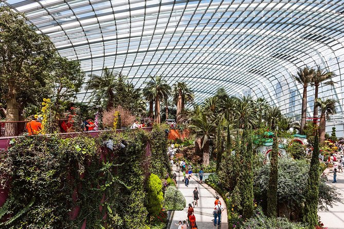 Garden by the Bay with two domes (Shared transfer) - What this Gardens by the Bay package really offers