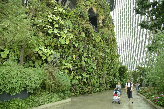 Garden by the Bay with two domes (Shared transfer) - Flower Dome and its five-continent plant collection