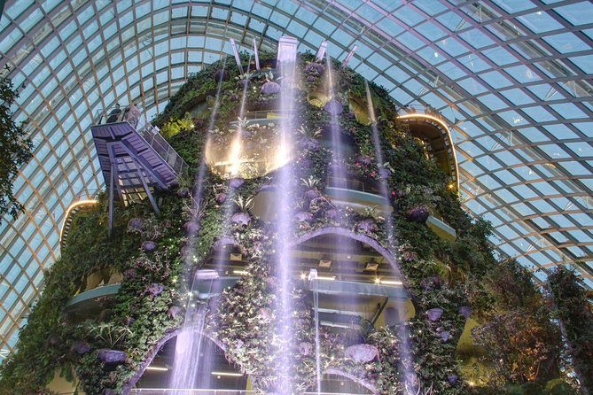 Garden by the Bay with two domes (Shared transfer) - Supertree Grove, outdoor gardens, and the Skyway