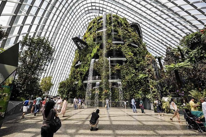 Garden by the Bay with two domes (Shared transfer) - Is the price good value?