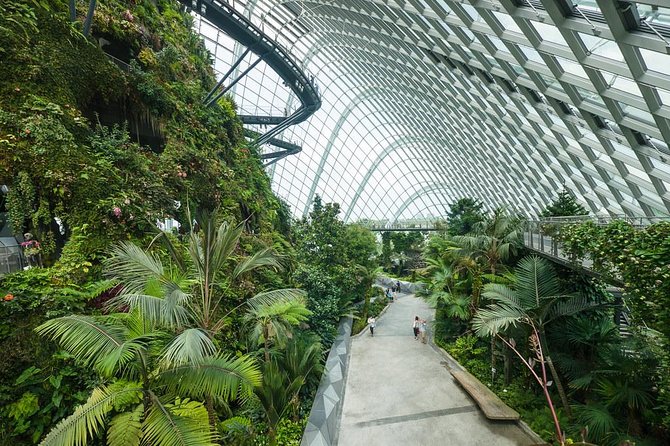 Garden by the Bay with two domes (Shared transfer) - What to bring and how to plan your visit