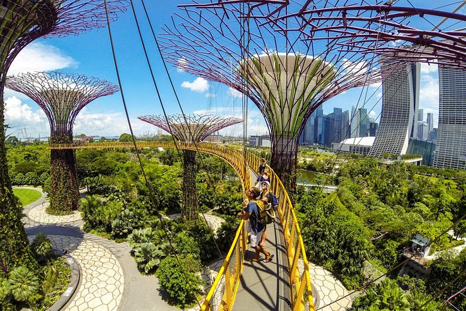 Garden by the Bay with two domes (Shared transfer) - Who should book this experience?