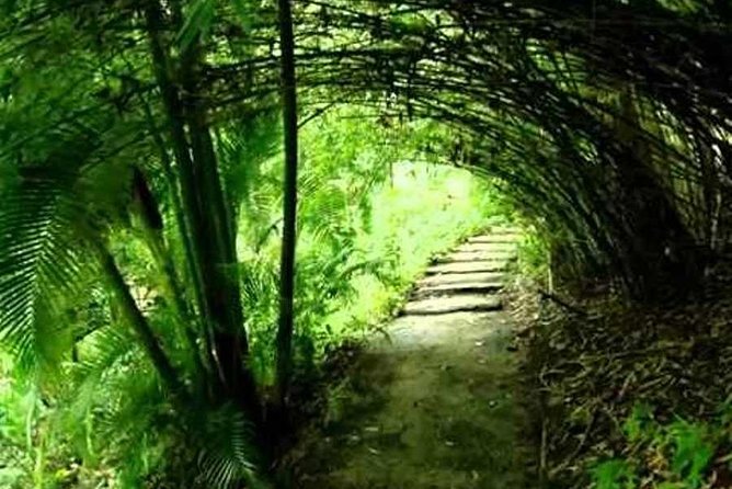 Garden Delight Full-Day Tour in Barbados - Flower Forest: a 45-minute introduction