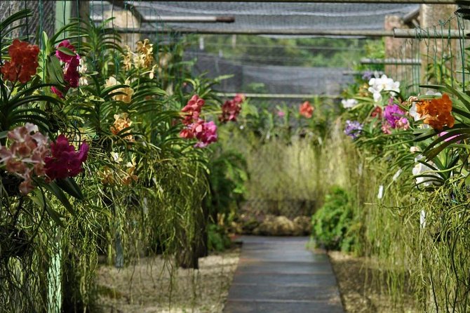 Garden Delight Full-Day Tour in Barbados - The lunch stop breaks up the garden visits