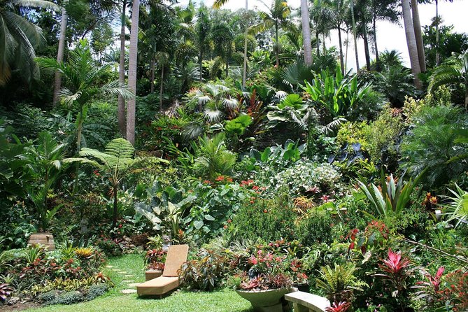 Garden Delight Full-Day Tour in Barbados - A 7:30 am start keeps the route moving