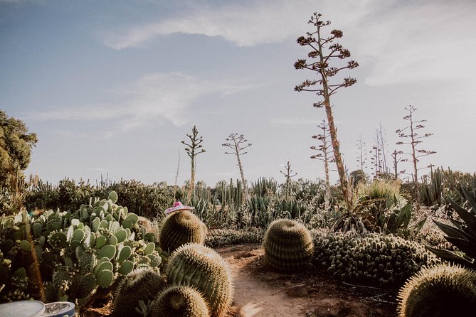 Garden Entry Ticket - What Cactus Country Is Really Like