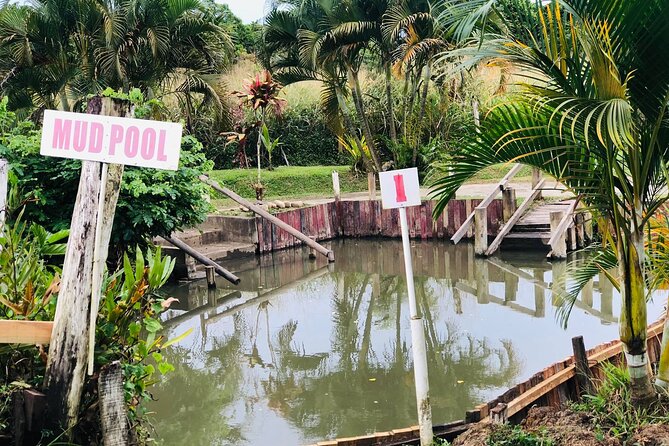 Garden Of Sleeping Giant ,Mudpool &Temple Tour From Coral Coast - Sabeto Hot Springs and Mud Pool: the playful finale