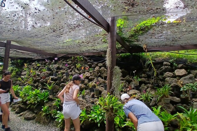 Garden of Sleeping Giant Tour with Tifajek Mud Pool and Hotspring - Quick points before you book