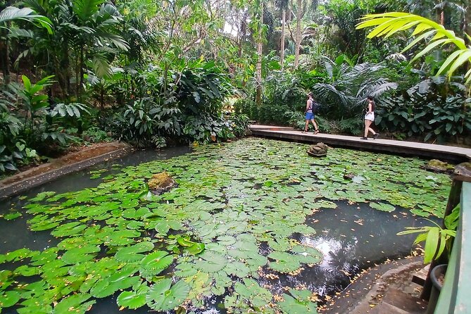 Garden of Sleeping Giant Tour with Tifajek Mud Pool and Hotspring - What makes the Garden of the Sleeping Giant worth your time