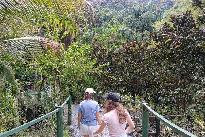 Garden of Sleeping Giant Tour with Tifajek Mud Pool and Hotspring - The driver can shape the whole experience