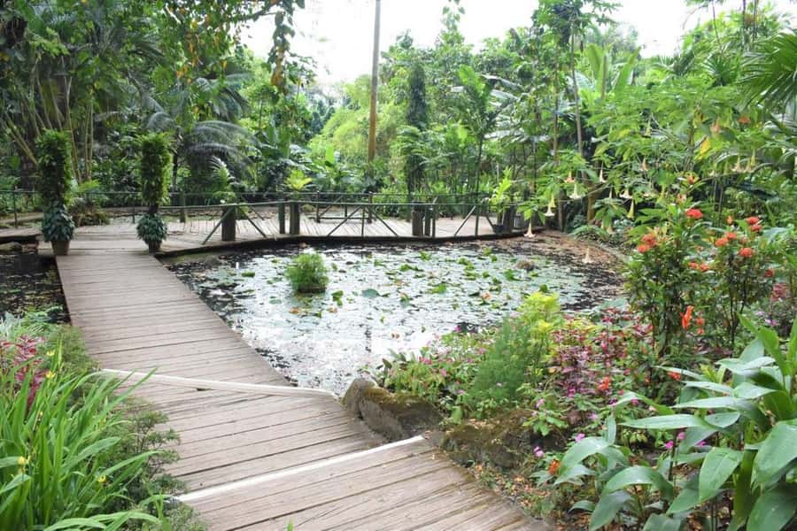 Garden of Sleeping Giant with Sabeto Hotspring Mudpool Tour - Key things to know before you go