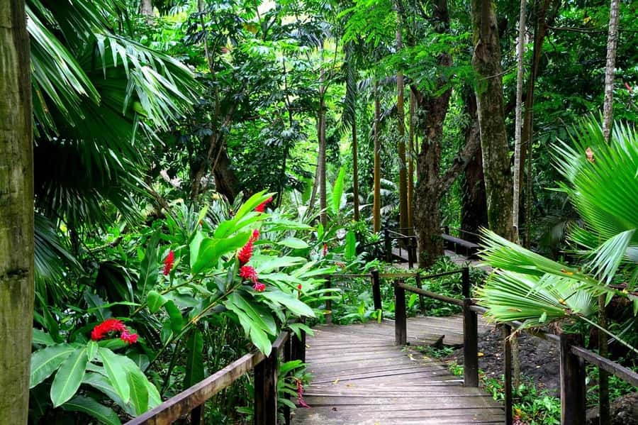 Garden of Sleeping Giant with Sabeto Hotspring Mudpool Tour - What the $47 price really includes