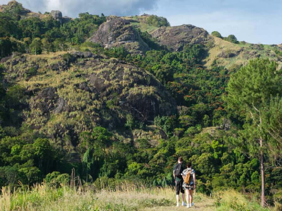 Garden of Sleeping Giant with Tifajek Mudpool Hotspring Tour - At a glance: what matters most