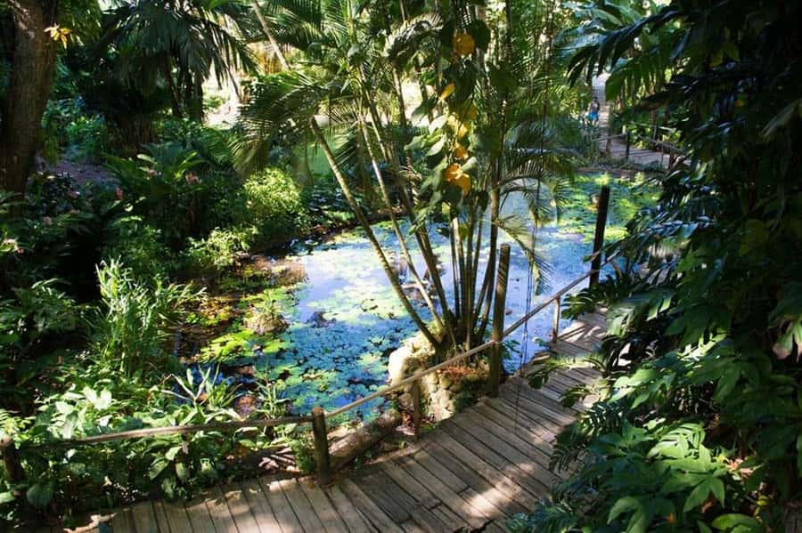 Garden of Sleeping Giant with Tifajek Mudpool Hotspring Tour - Is $65 good value?