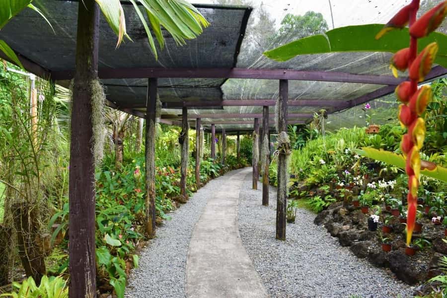 Garden of Sleeping Giant with Tifajek Mudpool Hotspring Tour - What to bring for a smoother day