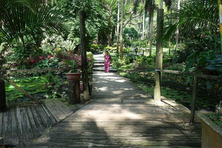 Garden of Sleeping Giant with Tifajek Mudpool Hotspring Tour - Who will enjoy this Fiji combination?