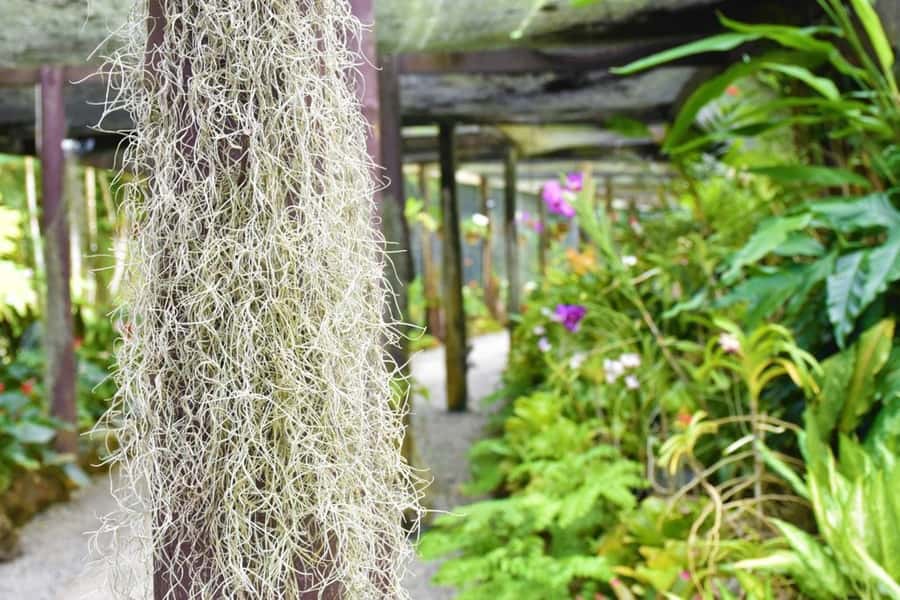 Garden of Sleeping Giant with Tifajek Mudpool Hotspring Tour - Should you book the Garden of the Sleeping Giant and Tifajek tour?
