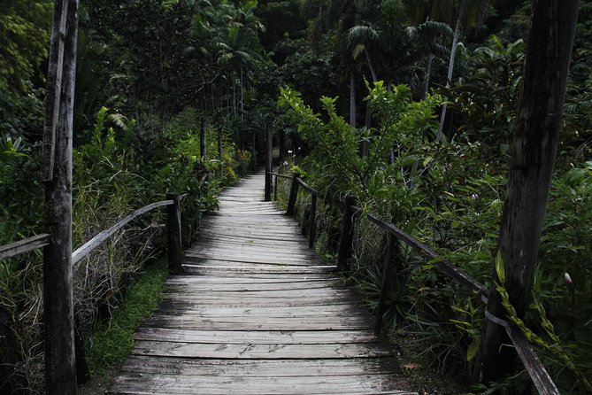 garden of the sleeping giant and mudpool tour combo - Sabeto Hot Springs and Mud Pool