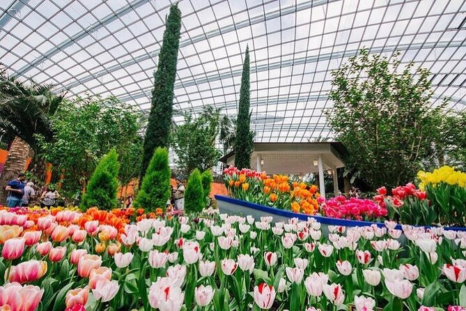 Gardens by the Bay E - Ticket with Flower Dome +CF Singapore - What the $29.75 ticket actually gives you