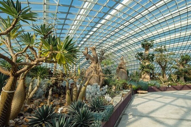 Gardens by the Bay E - Ticket with Flower Dome +CF Singapore - A practical two-hour plan