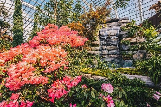 Gardens By The Bay E-Tickets - Flower Dome: slower, brighter, and more botanical