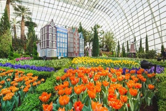 Gardens By The Bay E-Tickets - Cloud Forest: Singapore’s cool indoor rainforest