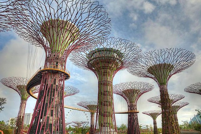Gardens By the Bay Exp Event - Beyond the domes: lakes, gardens, and waterfront paths