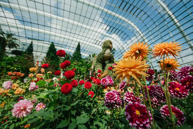 Gardens By the Bay Exp Event - Who will get the most from this experience?