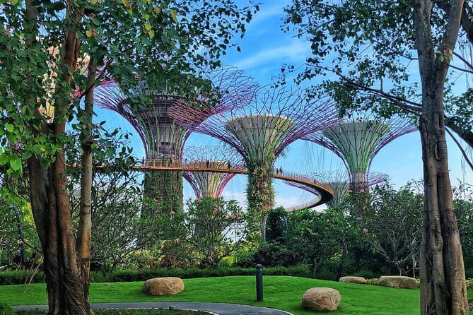 Gardens by the Bay Guided Tour - Flower Dome: seven gardens under one enormous roof