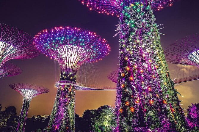 Gardens by the Bay Guided Tour - Who will enjoy this guided format most?